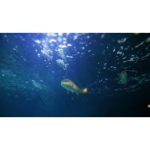 ویدیو استوک ماهی‌های گرمسیری -استوک ویدیویی اقیانوس