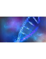 رشته DNA با نمای ماکرو