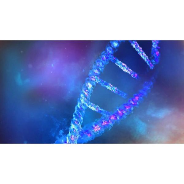 رشته DNA با نمای ماکرو