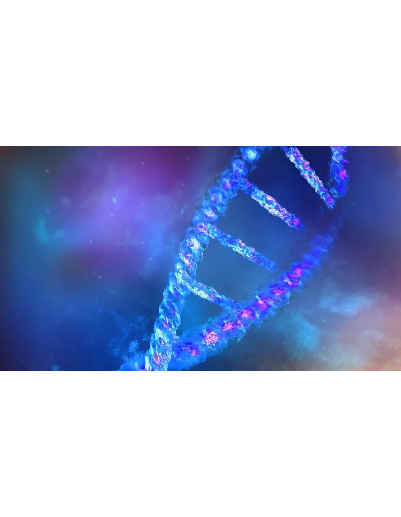 رشته DNA با نمای ماکرو رشته DNA با نمای ماکرو