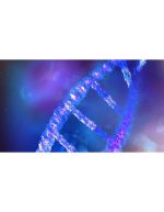 رشته DNA با نمای ماکرو | فوتیج علمی و پزشکی - Image 2