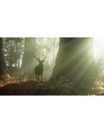 گوزن در جنگل هنگام طلوع | منظره طبیعی و نور زیبا - Image 4