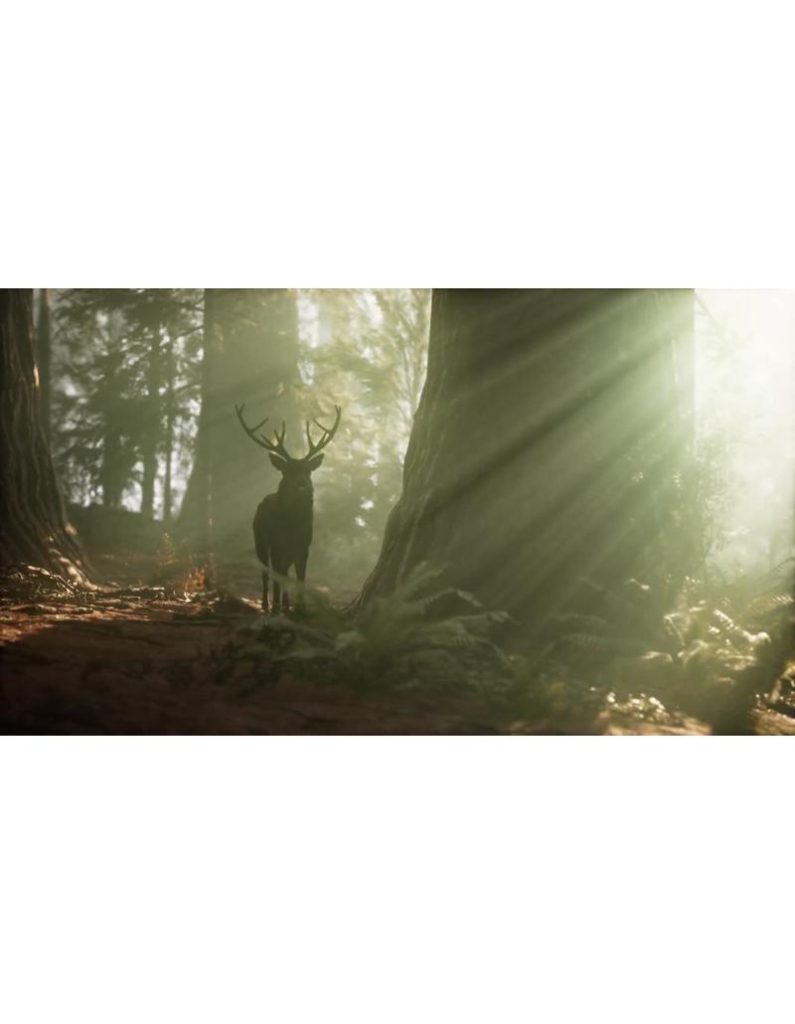 گوزن در جنگل هنگام طلوع | منظره طبیعی و نور زیبا