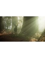 گوزن در جنگل هنگام طلوع | منظره طبیعی و نور زیبا - Image 2