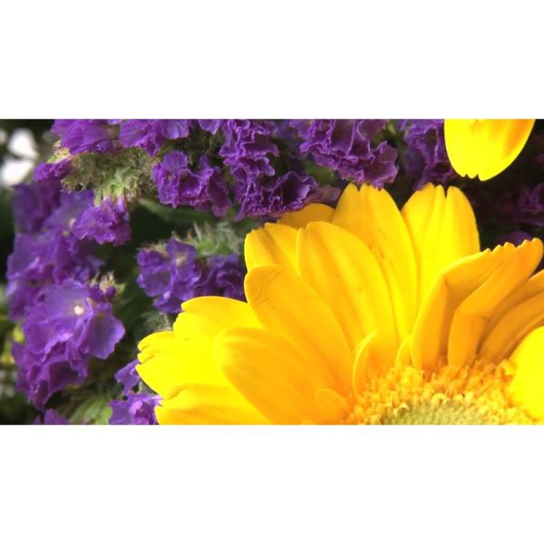 دسته‌گل‌های زیبا و رنگارنگ