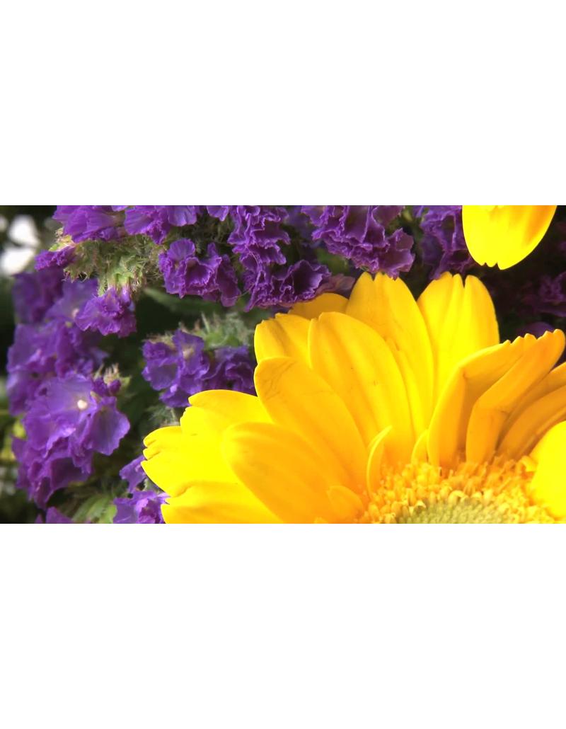 دستهگلهای زیبا و رنگارنگ دستهگلهای زیبا و رنگارنگ