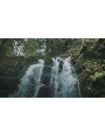 پرواز هوایی به‌سوی آبشار باشکوه | فوتیج طبیعت - Image 4