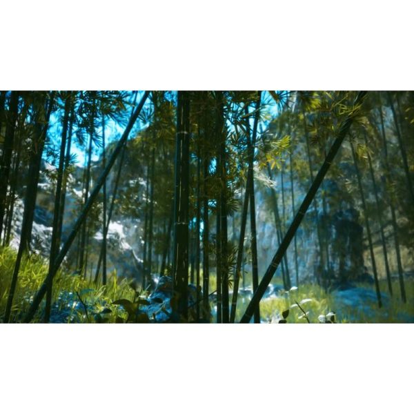 جنگل بامبو آسیایی با نور خورشید