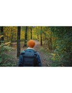 استوک ویدیویی پیاده روی در جنگل - جنگل پاییزی زیبا - Image 2