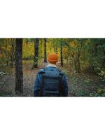 استوک ویدیویی پیاده روی در جنگل - جنگل پاییزی زیبا - Image 3