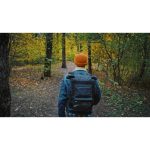 استوک ویدیویی پیاده روی در جنگل - جنگل پاییزی زیبا