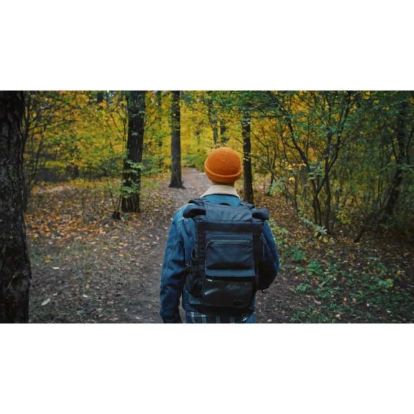 استوک ویدیویی پیاده روی در جنگل - جنگل پاییزی زیبا