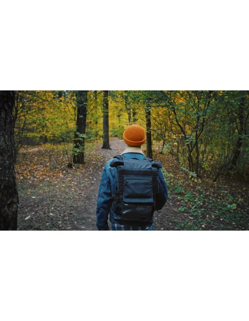 استوک ویدیویی پیاده روی در جنگل - جنگل پاییزی زیبا