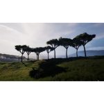 نمای هوایی شگفت‌انگیز از چشم‌انداز آفریقا |ویدیو استوک از جنگل افریقا