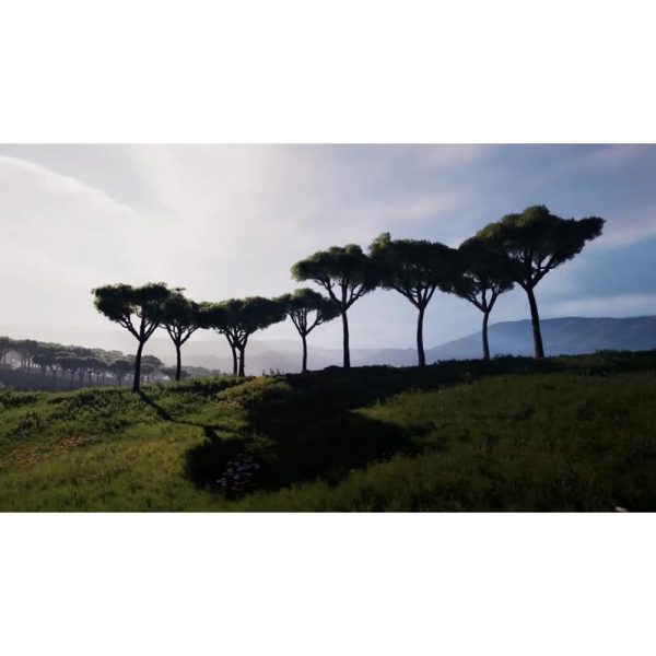 نمای هوایی شگفت‌انگیز از چشم‌انداز آفریقا |ویدیو استوک از جنگل افریقا