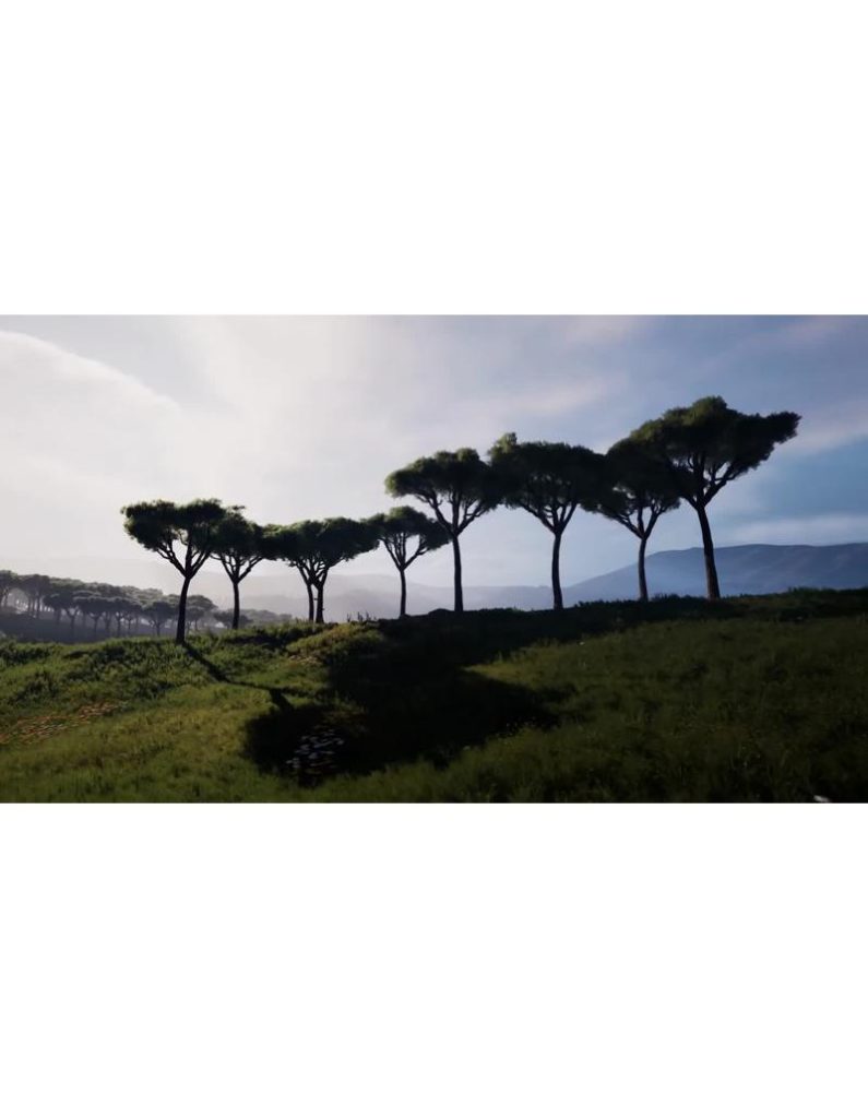 نمای هوایی شگفت‌انگیز از چشم‌انداز آفریقا |ویدیو استوک از جنگل افریقا