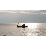 قایق ماهیگیری در سفر دریایی | نمای داستانی از غروب و قایق