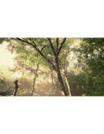 غروب اواخر تابستان با نور شکاف‌دار خورشید | منظره آرام‌بخش - Image 2