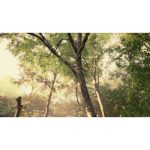 غروب اواخر تابستان با نور شکاف‌دار خورشید | منظره آرام‌بخش