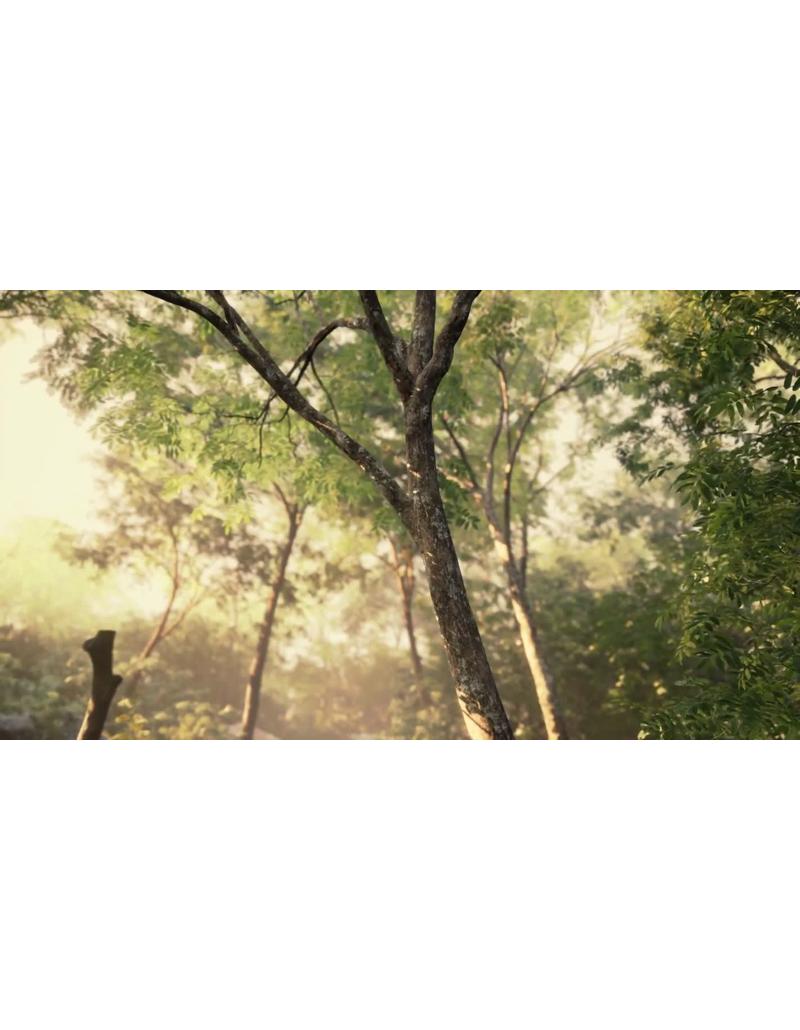 149-A_Perfect_Late_4006_2 غروب اواخر تابستان با نور شکافدار خورشید | منظره آرامبخش - Image 1