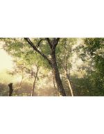 غروب اواخر تابستان با نور شکاف‌دار خورشید | منظره آرام‌بخش - Image 4