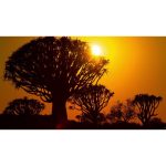 ویدیو استوک زمان‌گریزی غروب آفتاب در سرنگتی