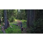 ویدیو استوک از بوسه سگ وحشی آفریقایی بر روی هاینا در پارک کروگر