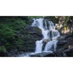 ویدیو استوک نمایی شگفت‌انگیز از آبشار با گیاهان و سنگ‌های سبز