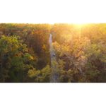 ویدیو استوک با نمای هوایی از درختان پاییزی و جاده‌ها