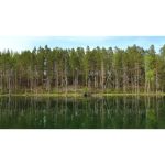 ویدیو استوک مناظر طبیعی جنگل‌ها و دریاچه‌های فنلاند