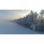 ویدیو استوک طلوع زمستانی در جنگل پوشیده از برف