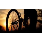 ویدیو استوک پسر در حال دوچرخه‌سواری در روستا