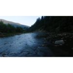 ویدیو استوک عبور گله گورخر از رودخانه مارا