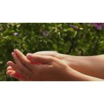 ویدیو استوک پروانه‌ای که از دستان پرواز می‌کند