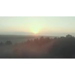 ویدیو استوک طلوع آفتاب مه‌آلود در جنگل