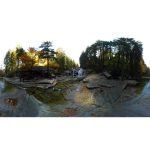 ویدیو استوک پیاده‌روی در جنگل با مناظر طبیعی