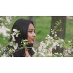 ویدیو استوک عروس هندی در باغ گل‌های گیلاس