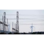 ویدیو استوک درباره الکتریسیته و زنده‌زایی ماهی الکتریکی