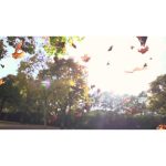 ویدیو استوک برگ‌های پاییزی در حال سقوط